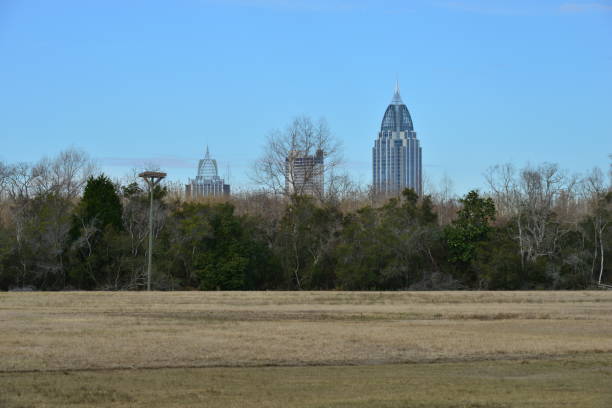 istock Mobile city Skyline from a park view. 915657510