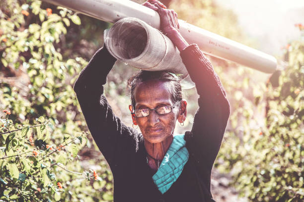 Portrait of Old poor women carrying PVC plumbing pipes for toilet construction on her head back to her home.