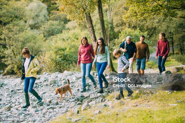 Drei Generationen Familie Wandern Durch Den Lake District Stockfoto und mehr Bilder von Familie