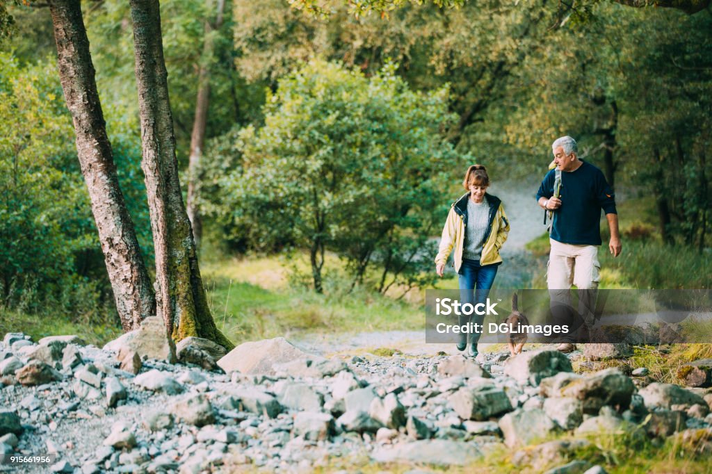 Senior Couple Hiking with Dog Senior couple are hiking through the Lake District together with their pet dog. Hiking Stock Photo