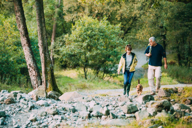 Senior Couple Hiking with Dog Senior couple are hiking through the Lake District together with their pet dog. keswick stock pictures, royalty-free photos & images