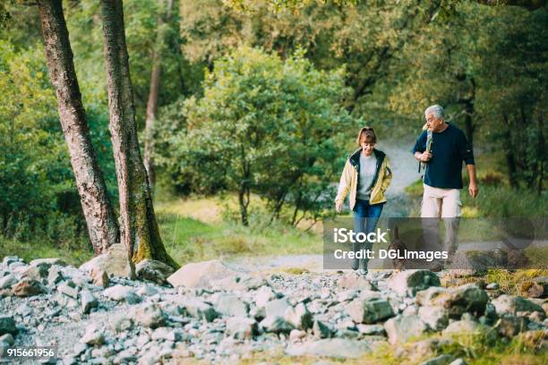 Senior Couple Hiking With Dog Stock Photo - Download Image Now - Hiking, Senior Couple, Outdoors