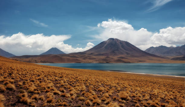 istock Chile Atacama Desert 915662262