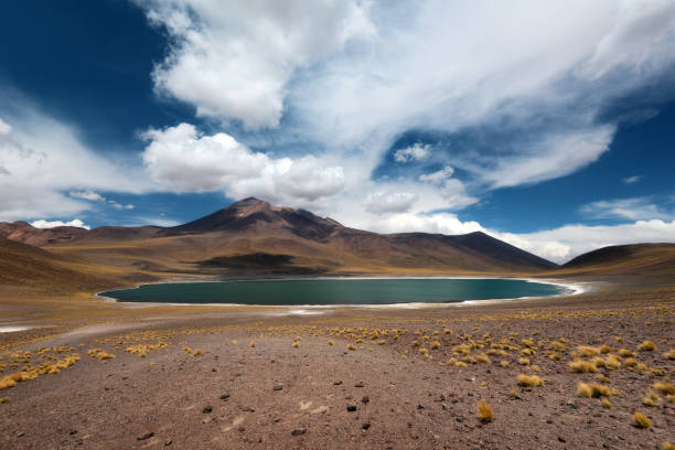 istock Chile Atacama Desert 915662274