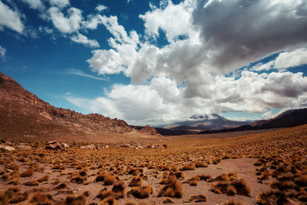 Chile Atacama Desert taken in 2015