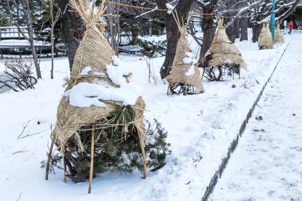 istock Frost and snow shield on plants and trees during winter 915665516