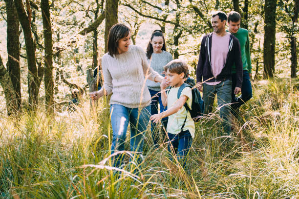 family hiking together through woodlands - cumbria hiking keswick english lake district imagens e fotografias de stock