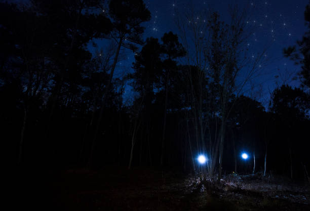 istock Two flashlights at night in the forest 915669768