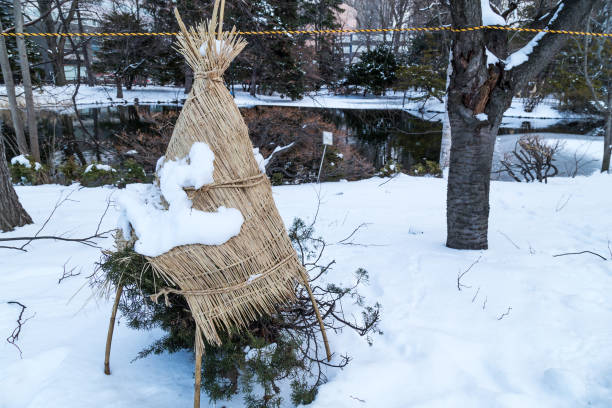 istock Frost and snow shield on plants and trees during winter 915669800