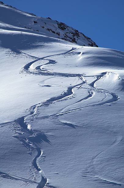 スノーボードのトラック - powder snow skiing agility jumping ��ストックフォトと画像