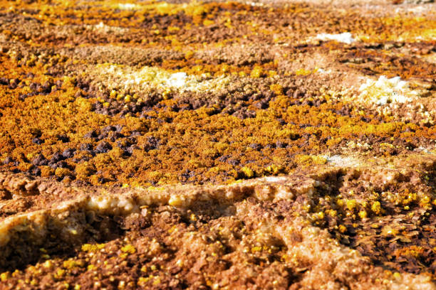 istock Dallol, Danakil Depression, Ethiopia. The hottest place on earth. 915676556