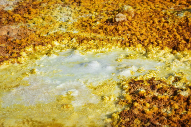 istock Dallol, Danakil Depression, Ethiopia. The hottest place on earth. 915676576