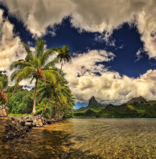 moorea, polinezja francuska - polynesia bungalow beach sunrise zdjęcia i obrazy z banku zdjęć