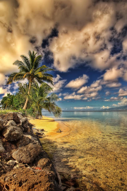 tahiti, polinezja francuska - polynesia bungalow beach sunrise zdjęcia i obrazy z banku zdjęć