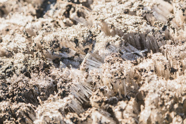 pasto congelado, cubierto de escarcha, parque nacional de tongariro, nueva zelanda - mountain climbing desert passion journey fotografías e imágenes de stock
