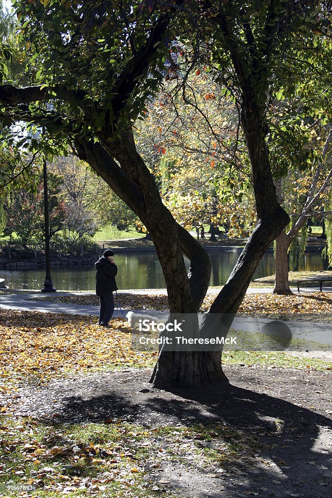 Donna su telefono cellulare In Boston Common - Foto stock royalty-free di Acero