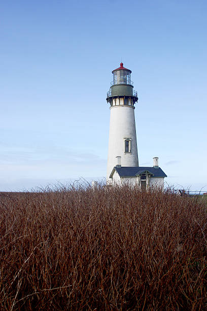 istock newport, oregon 91567999