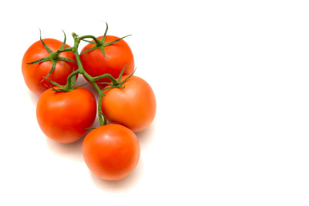 istock Tomatoes weighing on a branch 915680750