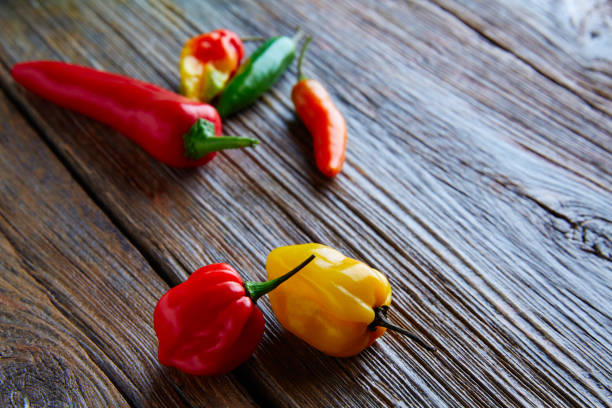 Hot chili pepper variation on gray stone slab with oregano leaves, garlic, onion, pepper and grains of sea salt. There are different kind of chilis in this picture, such as habanero, rocoto, serrano and orange chili pepper. Spicy sauce ingredients. Vertical orientation photography. No people. Top view. Close-up. Studio photo-shot using natural day light. Still life photography.