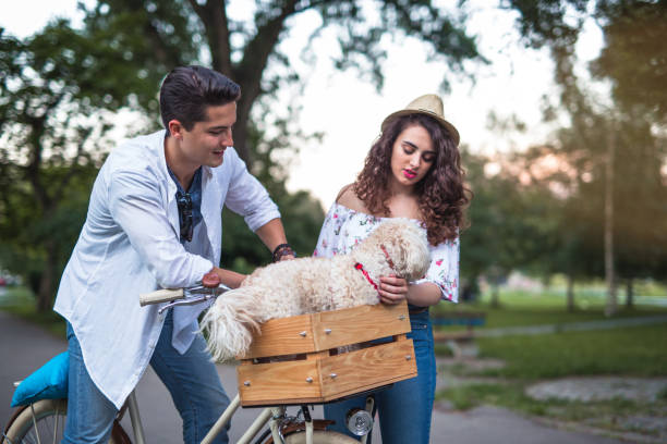 istock Cheerful couple with dog riding bicycle 915682400