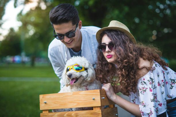 istock Cheerful couple with dog riding bicycle 915682424
