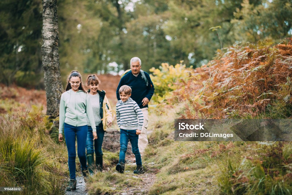 Hiking with our Grandparents Two children are hiking with their grandparents in the woodland of the Lake District. Family Stock Photo
