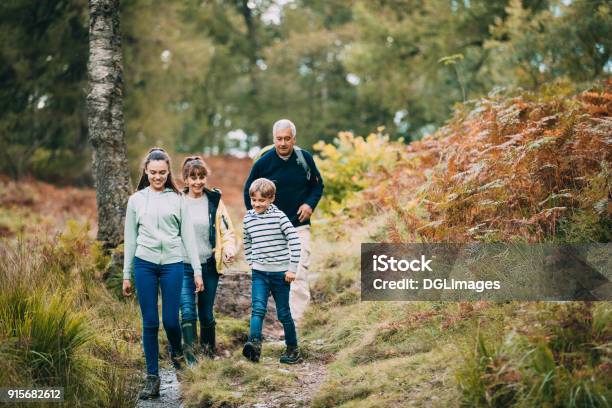 Hiking With Our Grandparents Stock Photo - Download Image Now - Family, Teenager, Multi-Generation Family