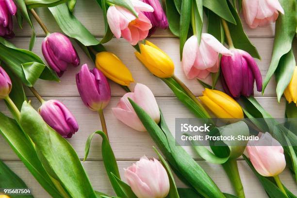 Leuchtende Tulpen Verstreut Auf Weißem Holz Hintergrund Stockfoto und mehr Bilder von Tulpe