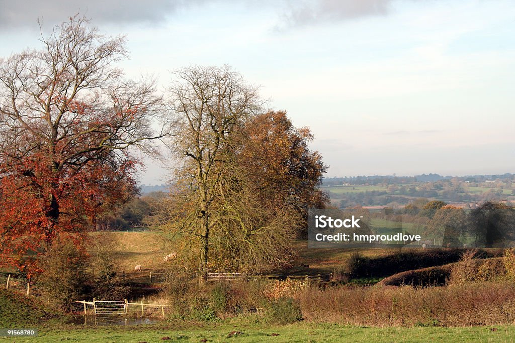 Landschaft im Herbst - Lizenzfrei Baum Stock-Foto