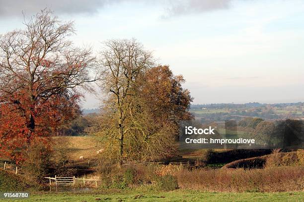 Landschaft Im Herbst Stockfoto und mehr Bilder von Baum - Baum, Blatt - Pflanzenbestandteile, Cheshire