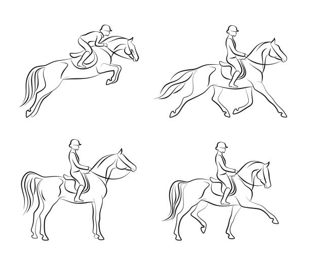 ilustrações, clipart, desenhos animados e ícones de conjunto de adestramento - equestrian event