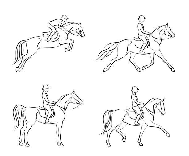 Dressage set Dressage set on a white background horse outlines silhouette stock illustrations