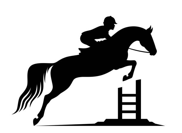 jumping horse - hurdle competition running sports race stock-grafiken, -clipart, -cartoons und -symbole