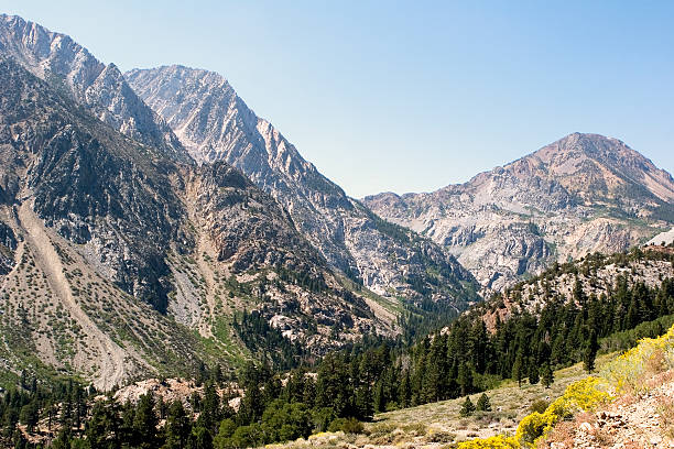 istock Mountain peak view, Tioga pass, California 91569019