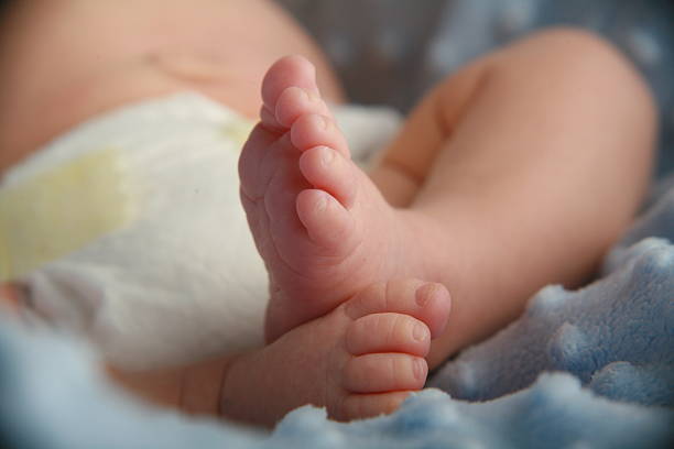 little babies toes  noah young stock pictures, royalty-free photos & images