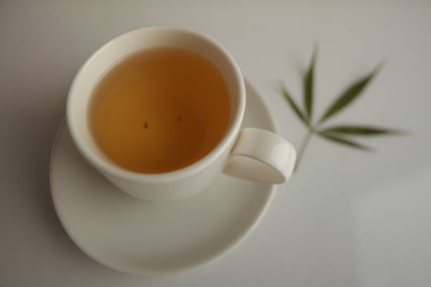 terapias naturales de la neuropatía