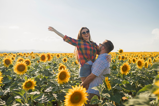 Young man raising his girlfriend in the beautiful field of sunflowers.