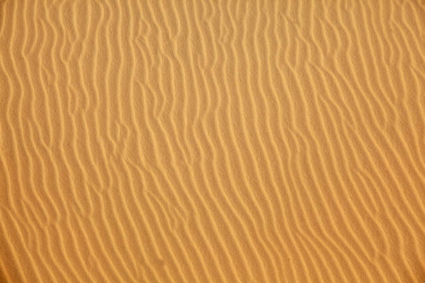 istock texture of sand dune ripple desert background. 915690910