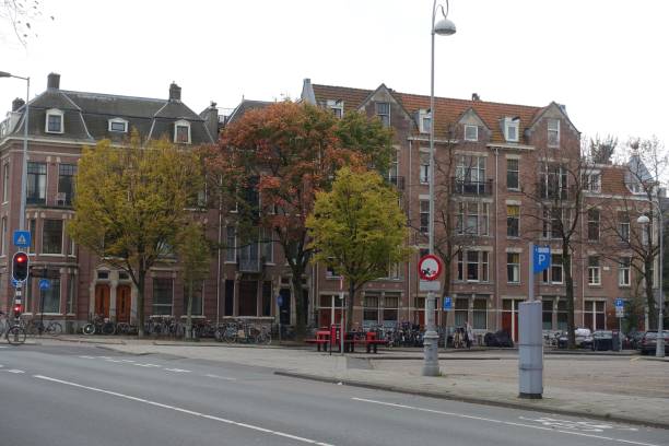 istock Three trees in the square in Amsterdam in autumn 915697388