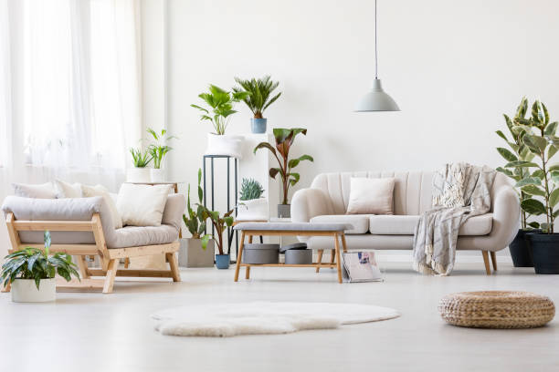 istock Spacious floral living room 915700250