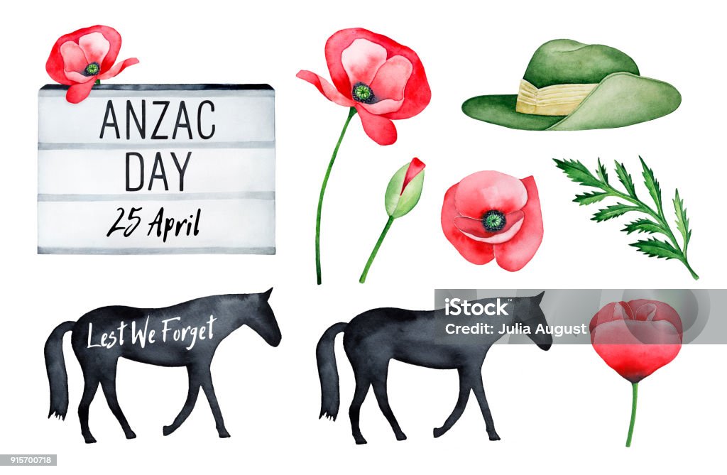 Anzac Day Illustration Set. Hand drawn watercolour drawing on white background, cutout. Poppy flowers, slouch hat symbol, black and white graphic elements. To decorate posters, banners, cards, flyers. ANZAC Day stock illustration