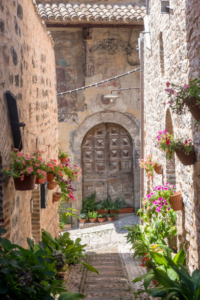 istock Spello, Perugia, medieval city 915703126