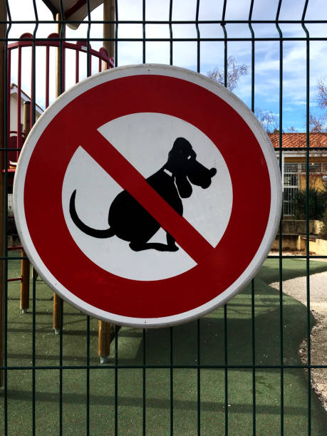 istock No Dogs sign 915708336
