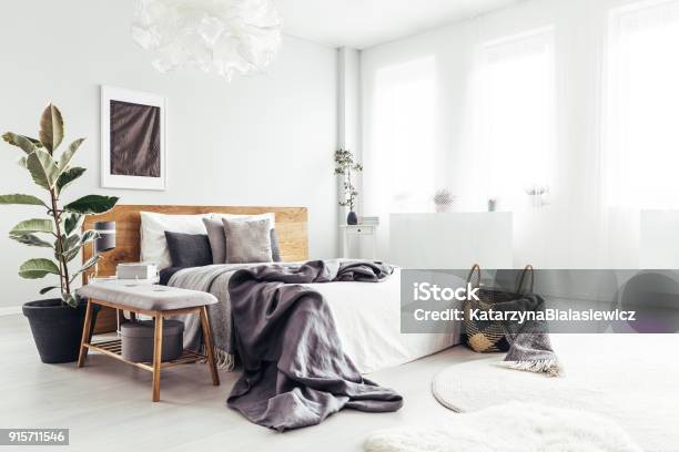 Spacious Bedroom With Windows Stock Photo - Download Image Now - Bedroom, Domestic Life, Textile