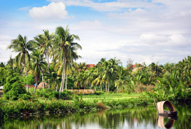 istock Rural landscape, Vietnam 915713164