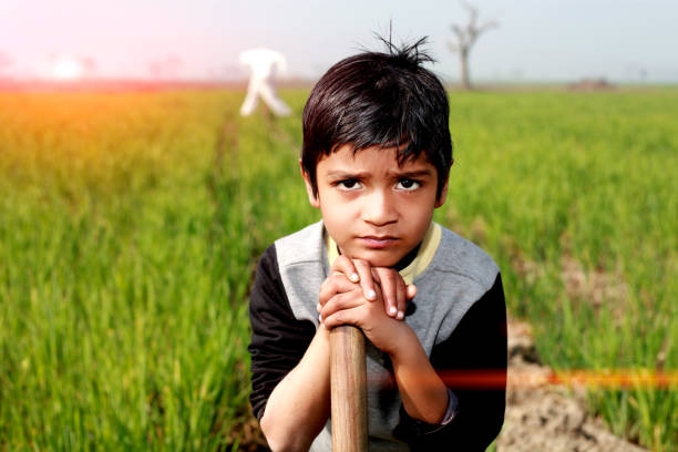 Elementary age little farmer holding garden hoe his shoulder and standing in the field of wheat crop during springtime.