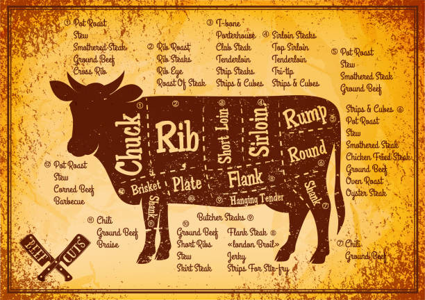 詳細図が牛を切るとベクトル カラー ポスター。 - chuck steak点のイラスト素材／クリップアート素材／マンガ素材／アイコン素材