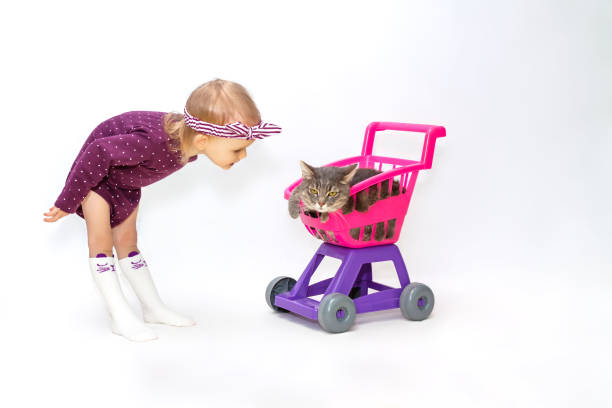 istock joyful two year old little girl playing with cat rolls into carts 915718082