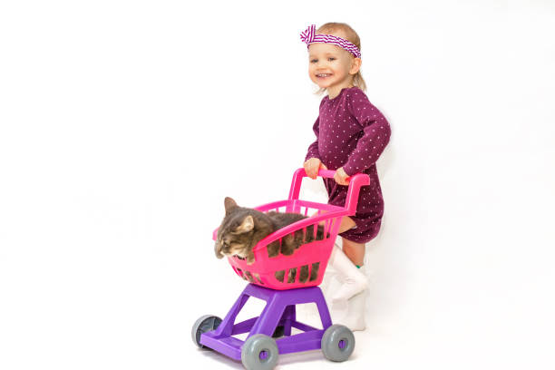 istock joyful two year old little girl playing with cat rolls into carts 915718326
