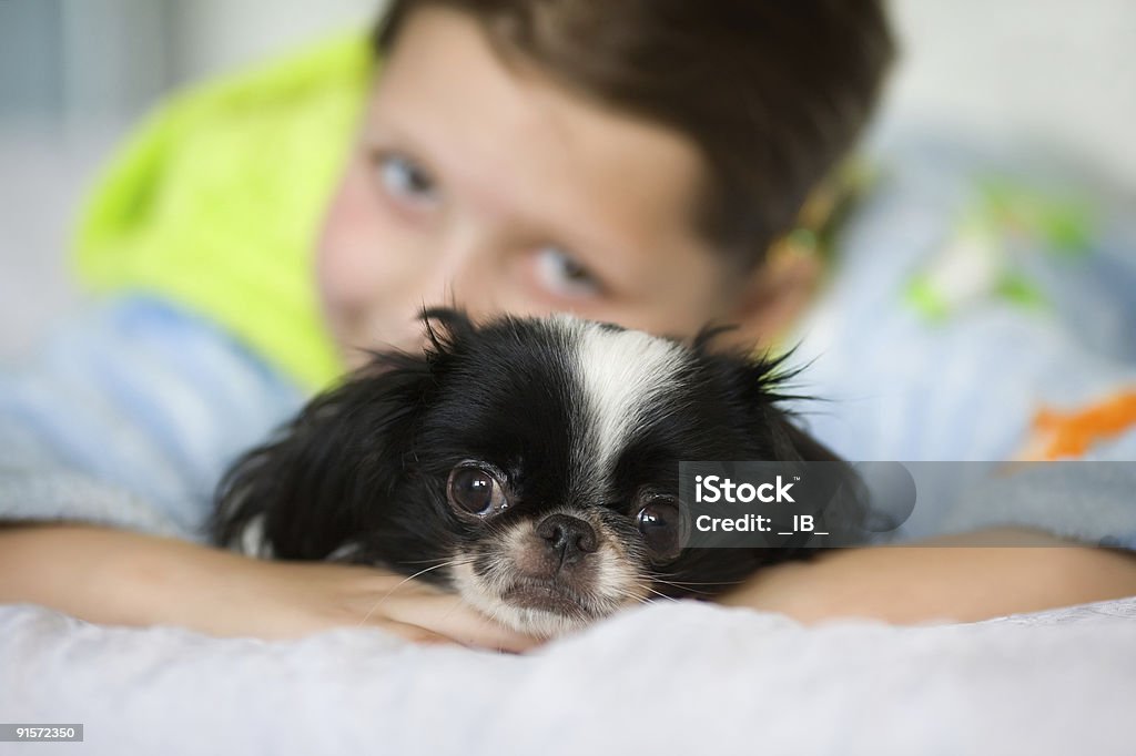 Bambina rimane con il piccolo cucciolo - Foto stock royalty-free di Abbracciare una persona